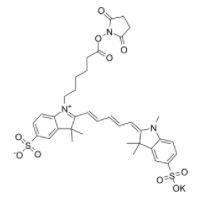 磺基花青5 NHS酯	  