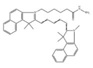 	磺化Cy5.5酰肼	  