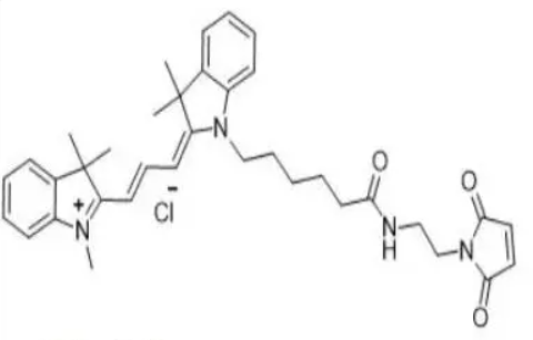 CY3,馬來酰亞胺	  