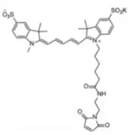 diSulfo-Cy5 maleimide  