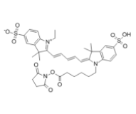 Cyanine 5, SE  