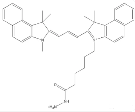 Cy3.5 hydrazide  