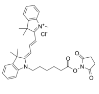 	Cy3 N-羥基琥珀酰亞胺酯	  