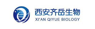 CY7-NHS；2408482-09-5；Cyanine 7 N-羟基琥珀酰亚胺酯；荧光染料偶联试剂