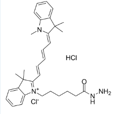 Cyanine5 hydrazide；1427705-31-4；Cy5 酰肼；用于醛和酮的荧光染料