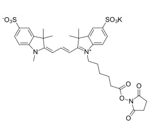 Sulfo-Cyanine3 NHS ester  