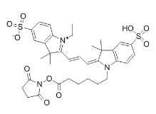 Sulfo-Cyanine3 NHS ester；146368-16-3；CY3-NHS酯