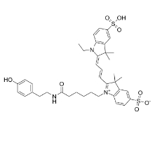 Cy3 Tyramide；174961-75-2； 氰基-3-酪酰胺