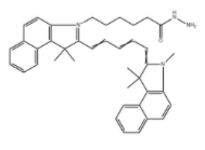   磺化Cy5.5酰肼 