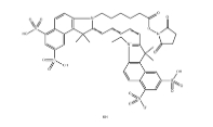 910482-46-1，Cyanine5.5 NHS ester,Cy5.5-NHS ester，Cy5.5 N-羟基琥珀酰亚胺酯