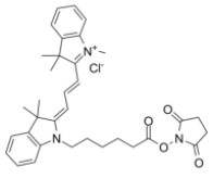 Cy3 NHS ester  