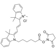Cy3 NHS ester  