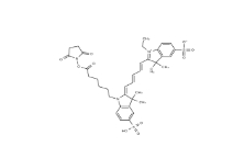 146368-14-1，Sulfo-Cyanine5 amine，Sulfo-Cyanine5，Sulfo-Cy5，胺基活性，CY5-NHS酯