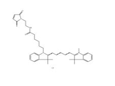 1437796-65-0丨标记巯基染料Cyanine5 maleimide|Cy5 MAL丨Cy5-马来酰亚胺