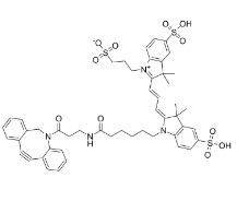 sulfo-Cyanine3 DBCO，sulfo-Cy3 DBCO，1782950-79-1