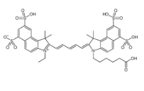 Cas:210892-23-2/Sulfo-Cy5.5/673-692nm/水溶cy5.5