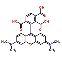 TAMRA Acid | 5（6）-羧基四甲基罗丹明/150347-56-1