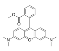 四甲基罗丹明甲酯(TMRM)