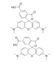 98181-63-6；5（6）-羧基四甲基罗丹明荧光试剂；5(6)-Carboxytetramethylrhodamine