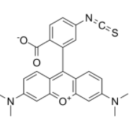 四甲基罗丹明-6-异硫氰酸	  