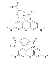 TAMRA Acid|98181-63-6|羧基四甲基罗丹明