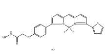 2183473-49-4，BDP TR hydrazide,Bodipy hydrazide