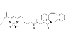 2093197-94-3，BDP FL DBCO，DBCO-BODIPY FL