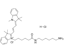 2247688-56-6，Cy3-NH2  (Cyanine 3-NH2)，	Cyanine3-氨基