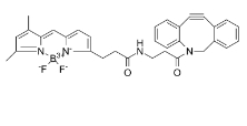 DBCO-BODIPY FL，2093197-94-3