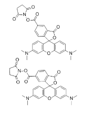 荧光试剂/cas:246256-50-8/5(6)-羧基四甲基 罗丹明琥珀酰亚胺酯混合物/5(6)-TAMRA SE