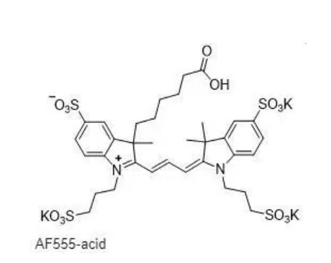 AF555 羧酸 