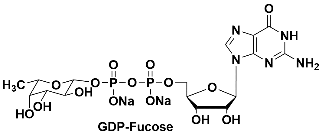 GDP-Fuc GDP-Fucose 尿苷二磷酸-N-乙酰半乳糖胺