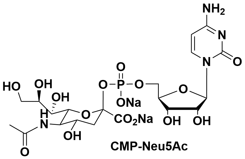 3063-71-6 "CMP-N-acetylneuraminic acid  CMP-Neu5Ac"