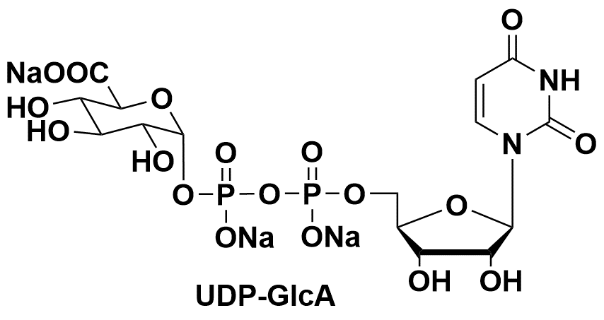 尿苷二磷酸葡糖醛酸 63700-19-6 "UDP-glucuronic acid  UDP-GlcA"