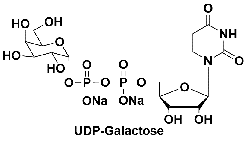 尿苷二磷酸半乳糖 2956-16-3 UDP-galactose  UDP-Gal