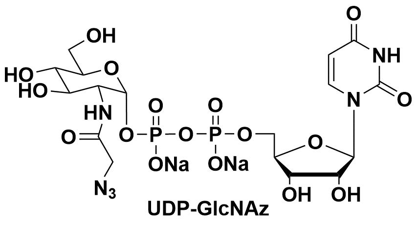Uridine 5-diphopho-N-acetylazidoglucosamine disodium salt UDP-GlcNAz