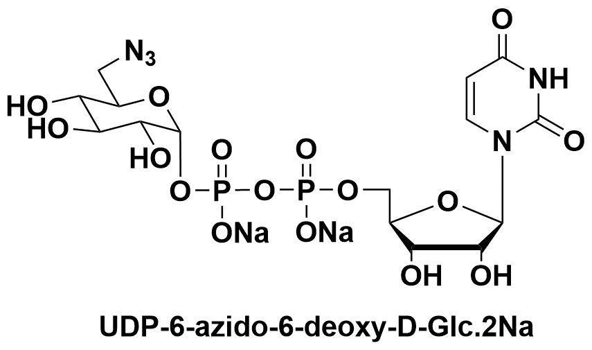 UDP-6-叠氮-6-脱氧-D-葡萄糖二钠盐 UDP-6-N3-Glucose 537039-67-1