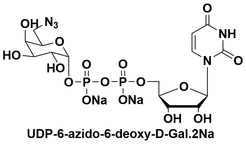 UDP-6-N3-Galactose 868141-12-2 udp叠氮半乳糖