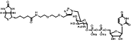 UDP-6-Biotinyl-GalNAc,生物素偶联N-乙酰半乳糖胺