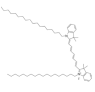 DiR 