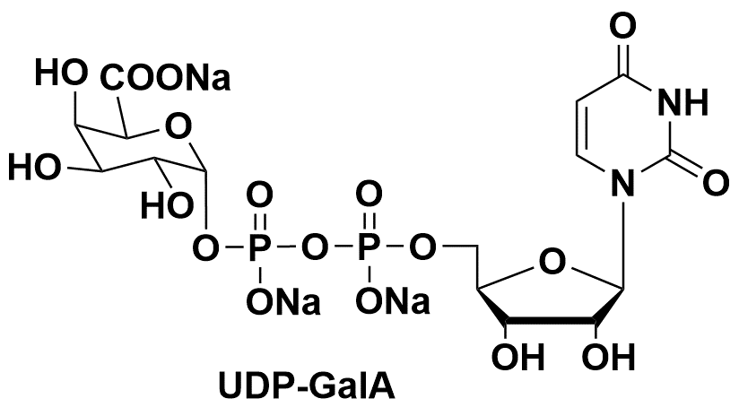 "UDP-galacturonic acid UDP-GalA"  148407-07-2 UDP-半乳糖醛酸
