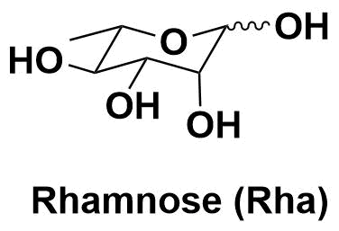 Rhamnose（鼠李糖，Rha）鼠李糖 木糖 L-鼠李糖