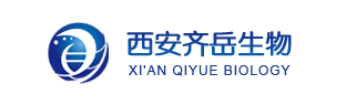 罗丹明B染料标记低分子量黄原胶；RB-lower relative molecular weight xanthan gum；Rhodamine B-LRWXG