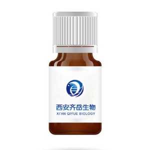 吲哚菁绿标记谷氨酰胺,ICG-CGlutamine