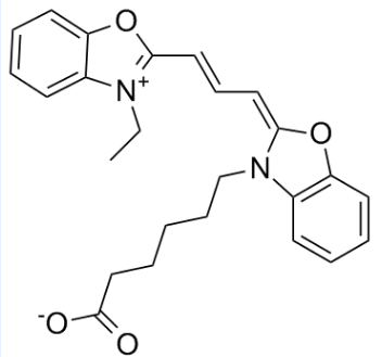 菁染料Cy2；Cy2 Carboxylic acid