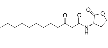 N-(3-氧代十二酰基)-L-高丝氨酸内酯；168982-69-2