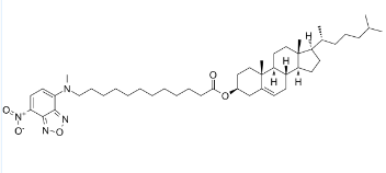 3-NBD-C12 Cholesterol，CAS号：186833-02-3