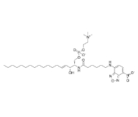 C6NBD-神经鞘氨酯，CAS号：94885-04-8，C6 NBD Sphingomyelin (d18:1/6:0)