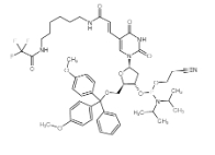 CAS号：210534-16-0，Amino-modifier C6 dT 亚磷酰胺单体 