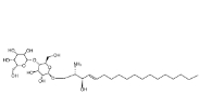 109785-20-8，Lactosyl-C18-sphingosine，D-乳糖基-β1-1'-D-赤型-鞘氨醇